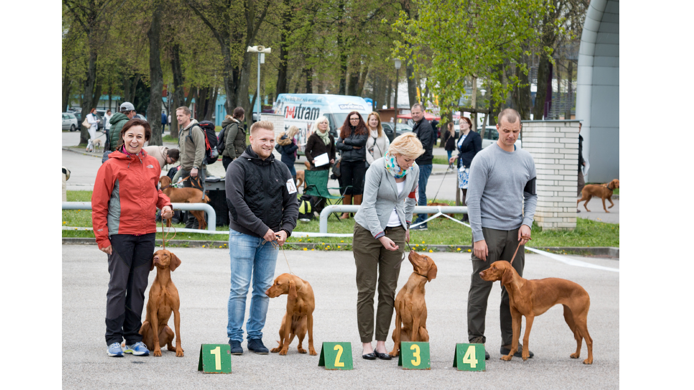  Alissa třída mladých 