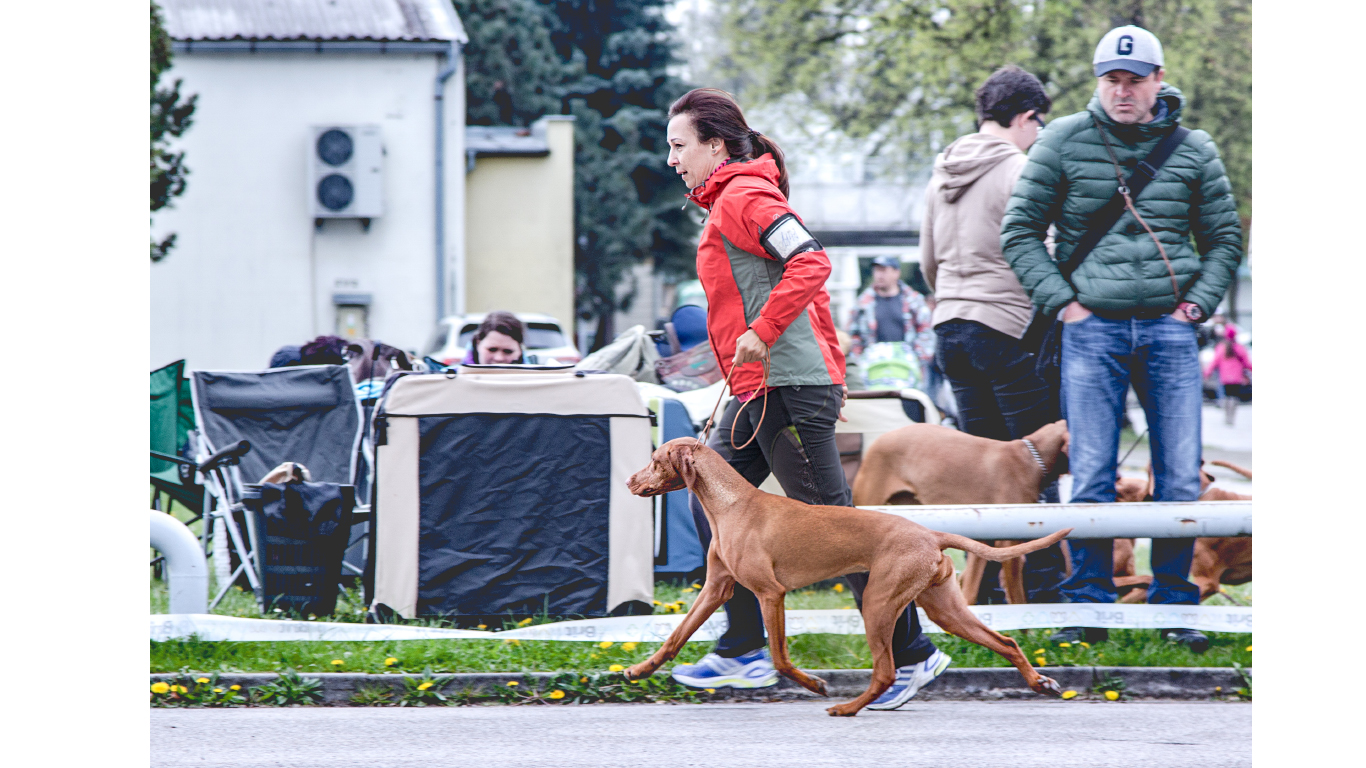  Alissa Bayetty s Verčou 
