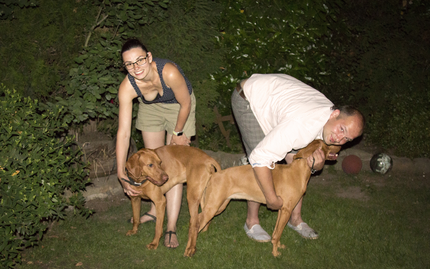  Bayetty spojení MOK 