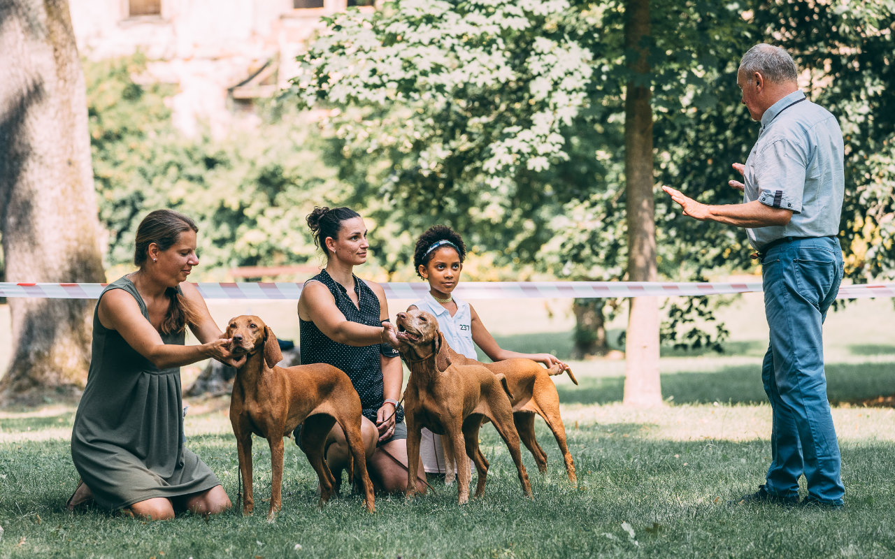  Babettka Bayetty vystava Zakuoy 2020 