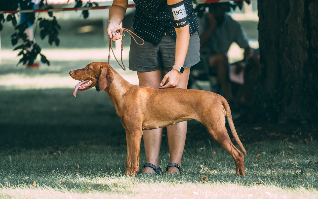  Cnnie Bayetty vystava Zakupy 2020 postoj 