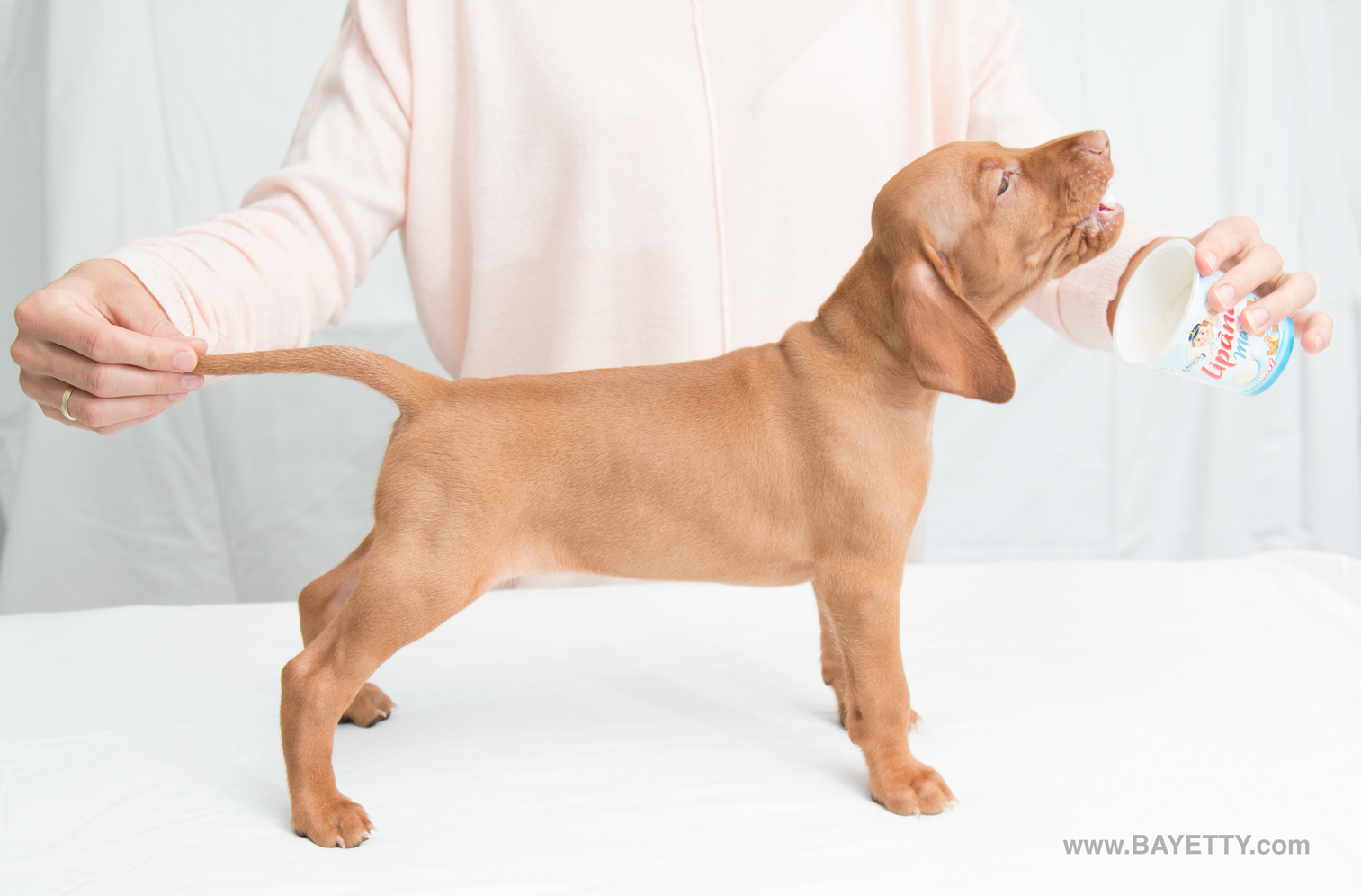  Babettka Bayetty postoj 