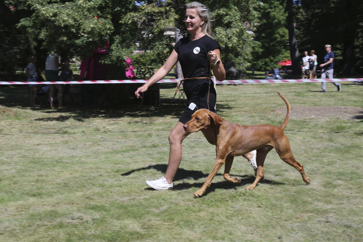  Bagheera Bayetty Zákupy 