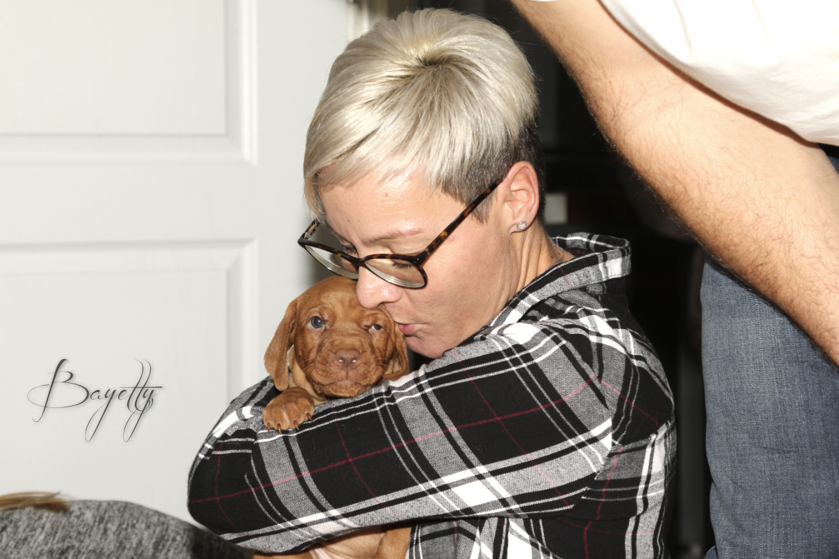  Coddy Bayetty chovatelská stanice maďarských ohařů krátkosrstých 