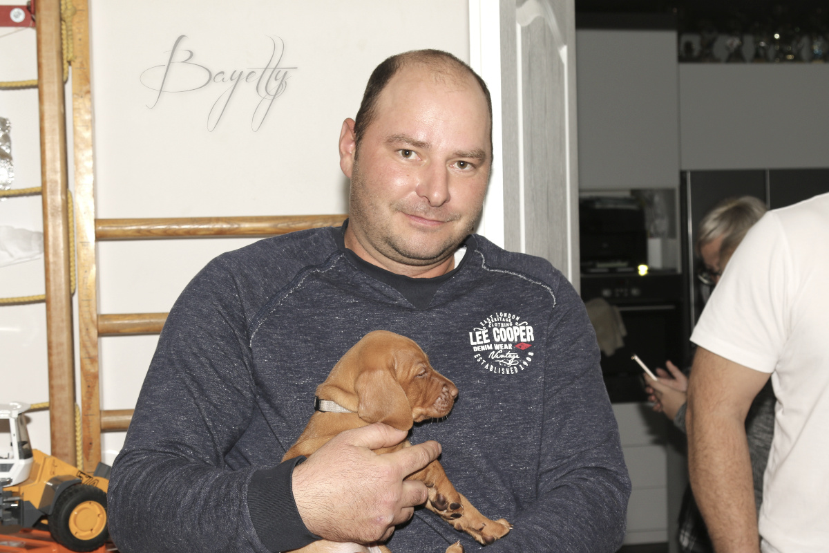  Coddy Bayetty chovatelská stanice maďarských ohařů krátkosrstých 