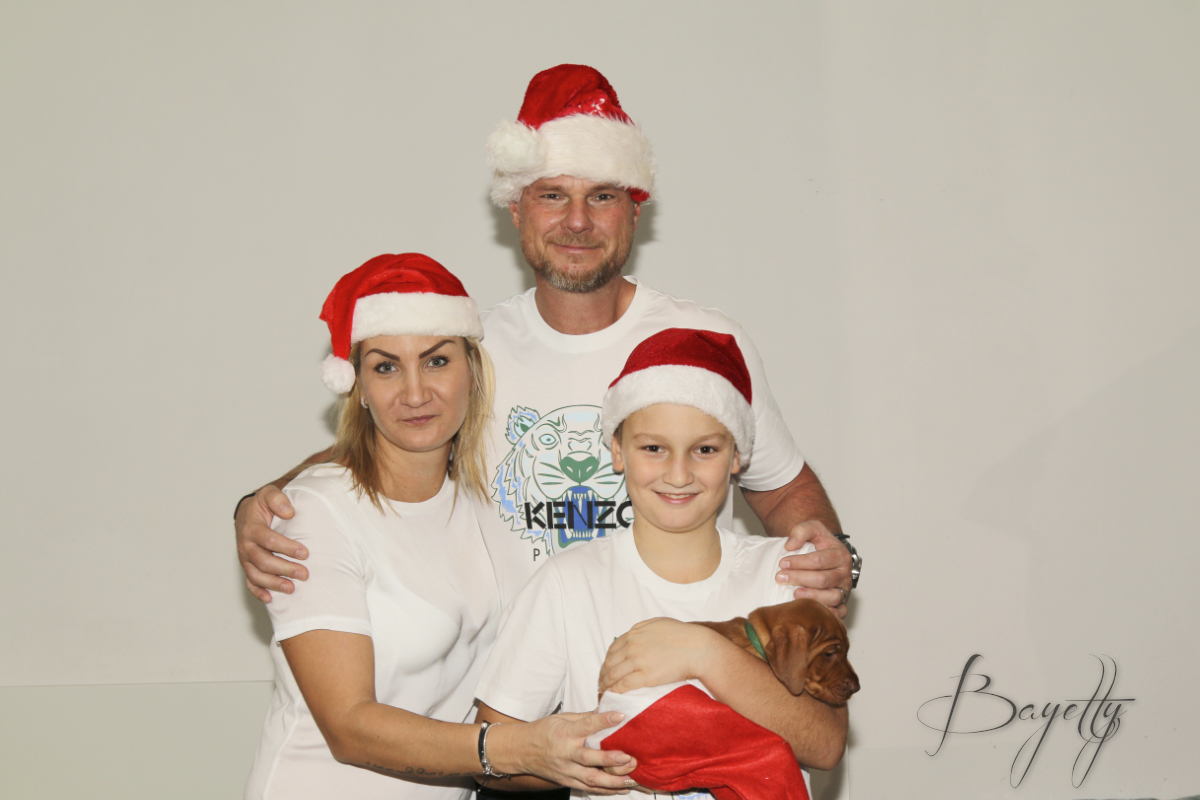  Dexter Bayetty chovatelská stanice maďarských ohařů krátkosrstých MOK 