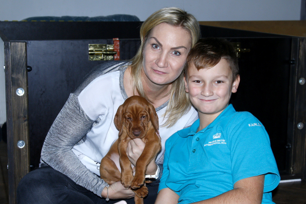  Dexter Bayetty chovatelská stanice maďarských ohařů krátkosrstých MOK 