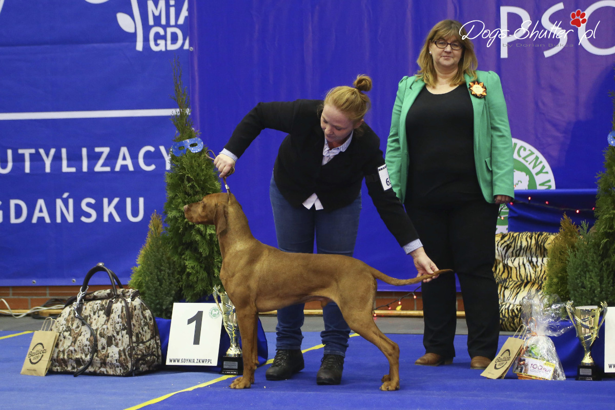  Feketicsi Vadasz GENIUSZ 