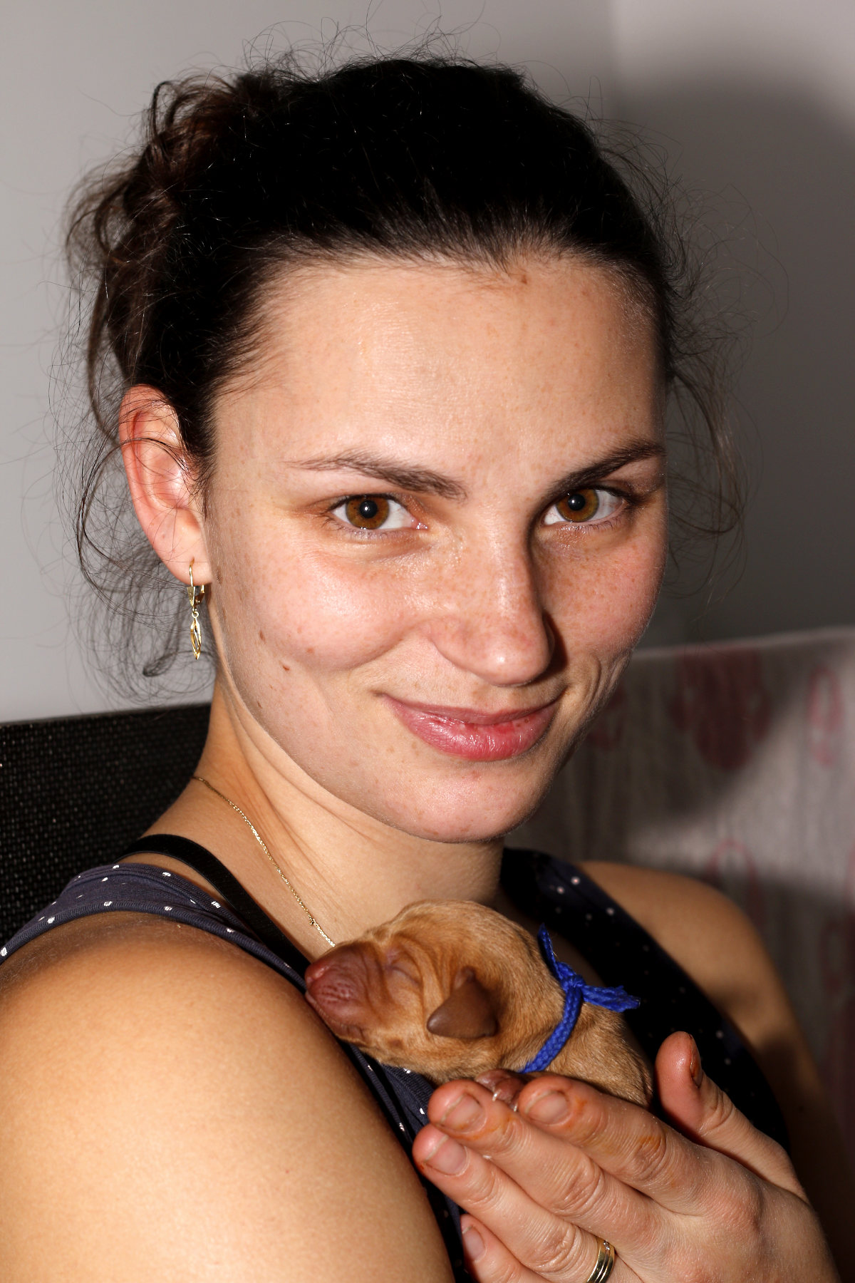  stenata_MOK_Praha_madarsky_ohar_kratkosrsty_ 