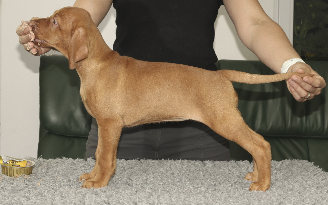 Yetty s Davidem   Yetty s Davidem