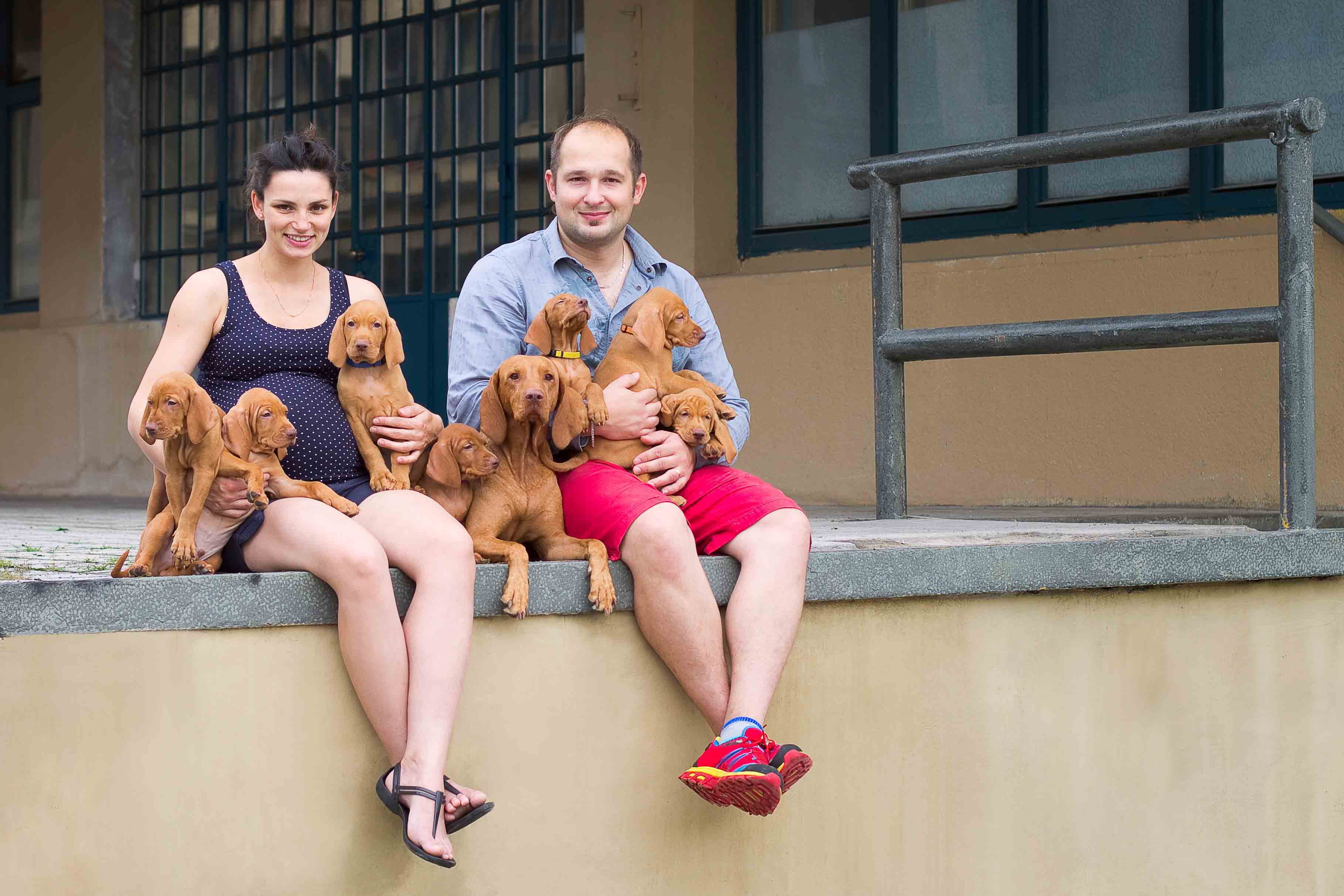  Bayetty_MOK_Madarsky_ohar_kratkosrsty_Praha_dog_puppy 